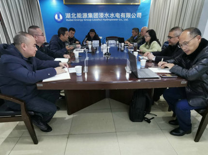 陈印辉带队到江坪河水电站发展专题调研