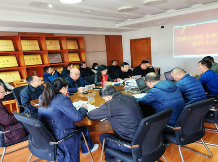 澧能公司党支部召开2022年度组织生涯会暨民主评议党员会议