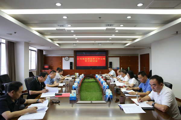 jcjc5500公海贵宾会公司党组理论进建中心组发展主题教育第四次集中进建钻研