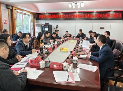 陈印辉带队到零陵区调查南津渡光伏项目