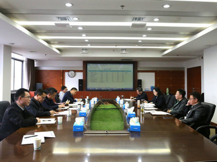 公司召开宜冲桥水库项目前期工作推动会