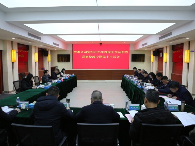 任红梅领导jcjc5500公海贵宾会公司党组2025年度民主生涯会暨巡察整改专题民主生涯会