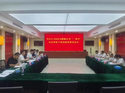 徐磊对澧能公司“一把手”及经营班子发展监督发言