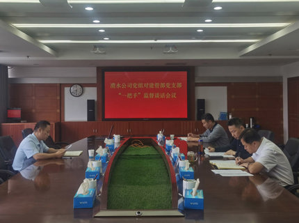 徐磊对建管部“一把手”发展一对一监督发言